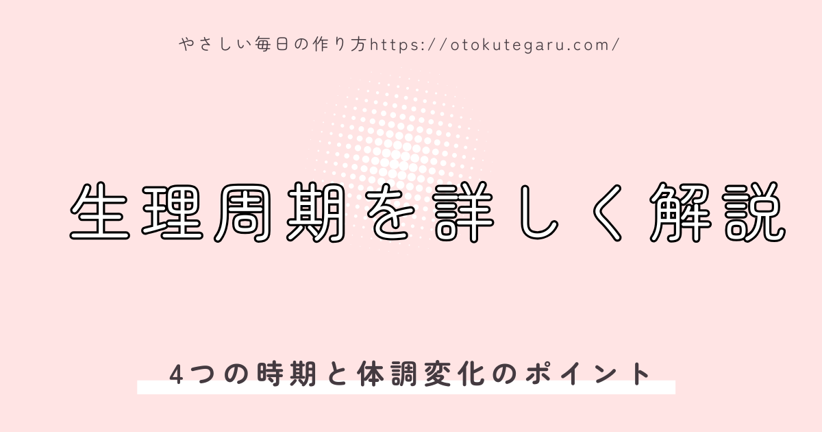 生理周期を詳しく解説